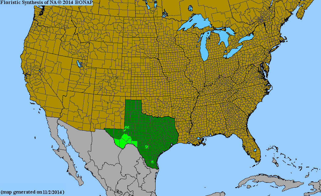 County distribution map of Mirabilis texensis - Texas Four-O'clock
